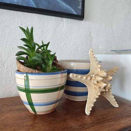 Vista Mar Sardina Gáldar